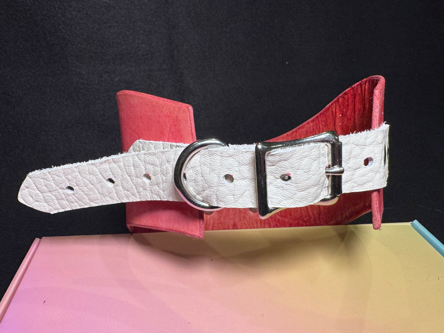 Kawaii Posture Collar